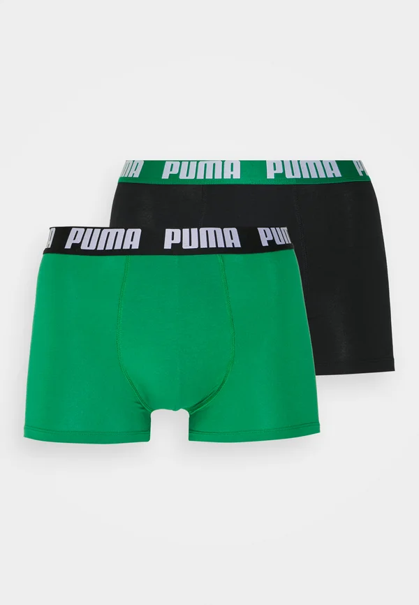 BASIC 2 PACK - Panties - columbia green