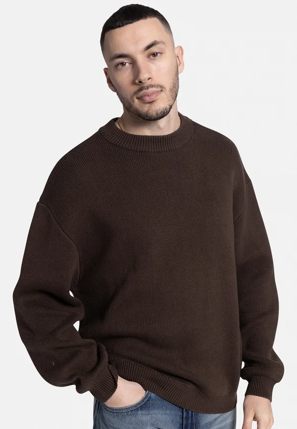 BASTIAN - Strickpullover - demitasse