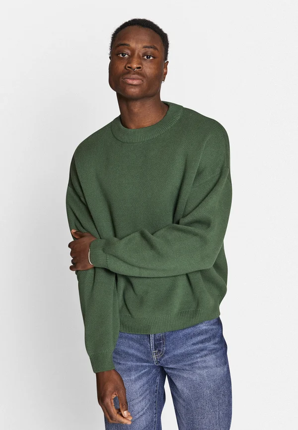 BASTIAN - Strickpullover - greener pastures