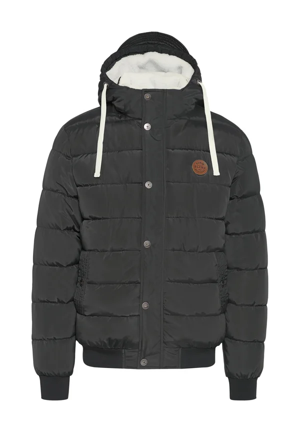BHFREDERICO - Winterjacke - metallic grey
