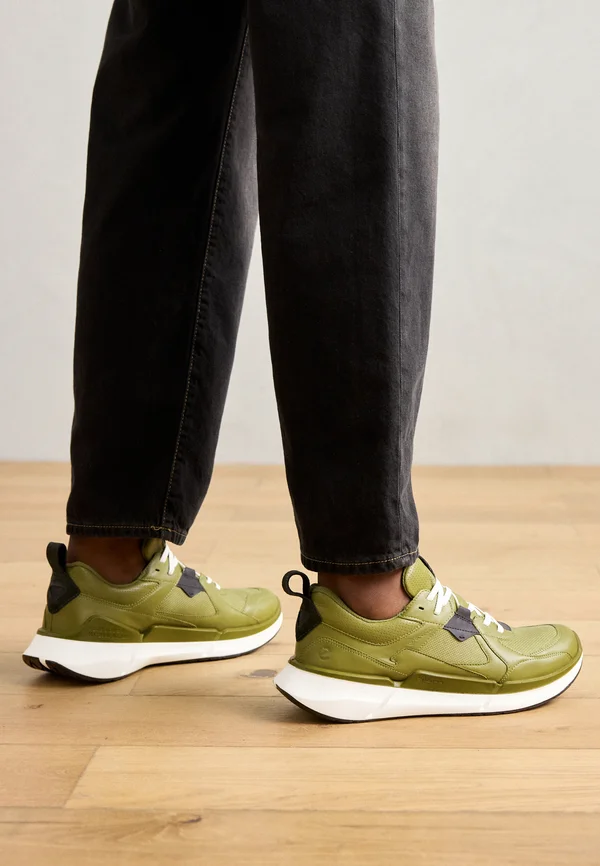 BIOM 2.2 GTX - Sneaker low - acorn/acorn/peat