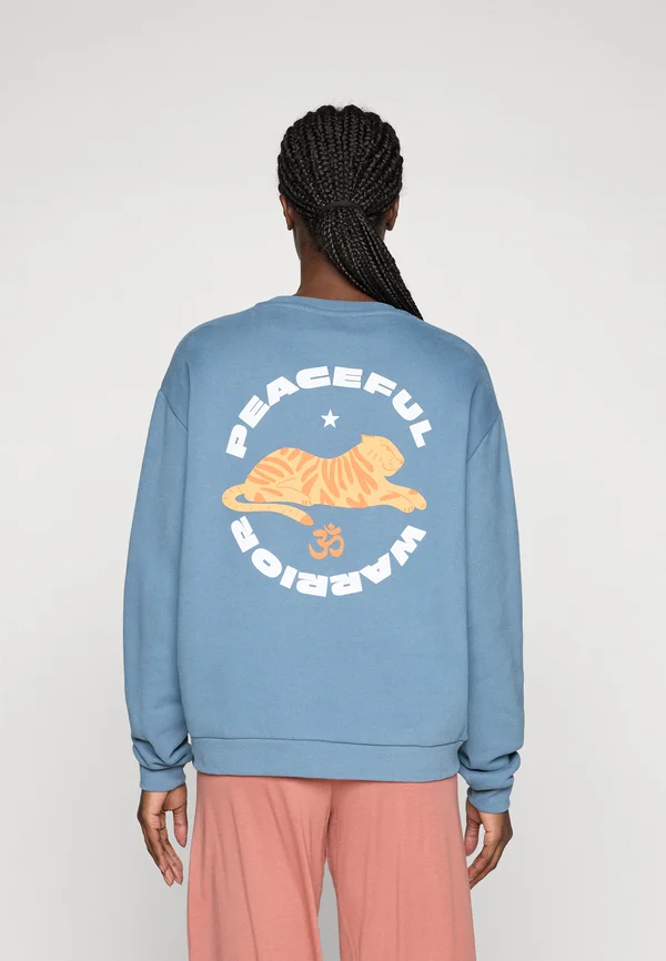 BIOSHIVA SWEATER - Sweatshirt - orage