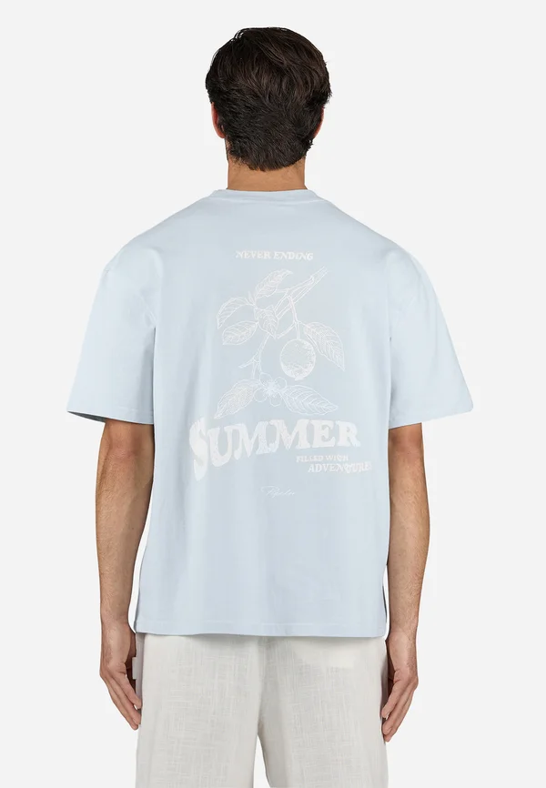 CABERRY TEE - T-Shirt print - washed dream blue
