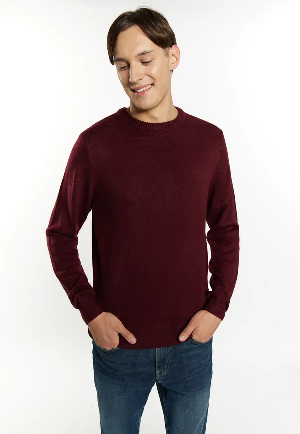 CHABBY - Strickpullover - bordeaux