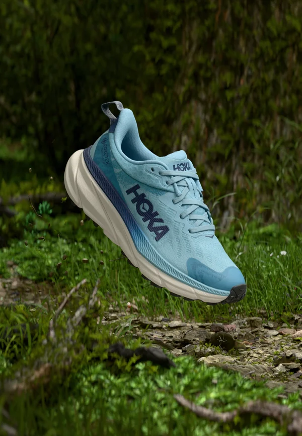 CHALLENGER 7 GTX - Laufschuh Trail - raindrop/grout