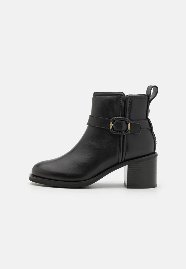 CHAMBERLY TRIM - Ankle Boot - black