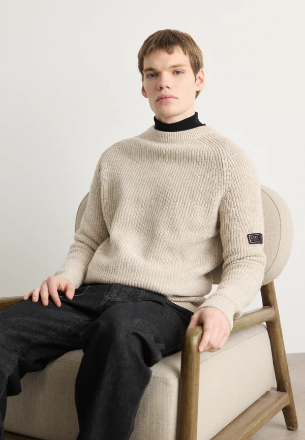 CHESTER CREW JUMPER - Strickpullover - whisper white