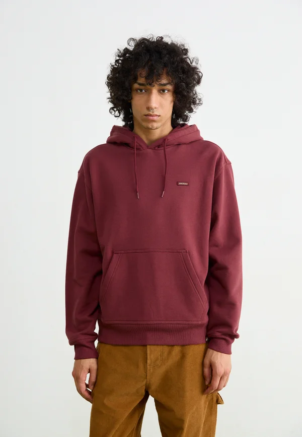 CLANCY HOODIE - Sweatshirt - andorra