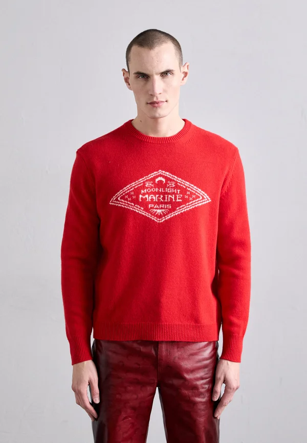 CLEAN CREW NECK  - Strickpullover - red