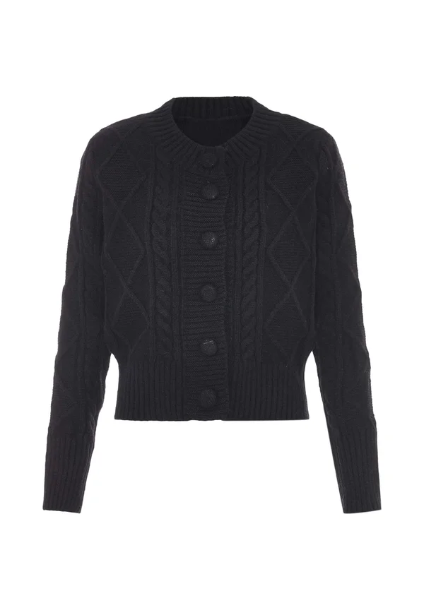 CO-BRANDED WITH CARNEA - Strickjacke - schwarz