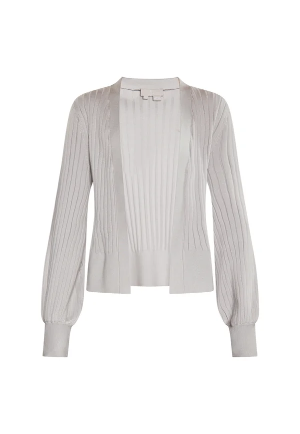 CO-BRANDED WITH RISA - Strickjacke - grau