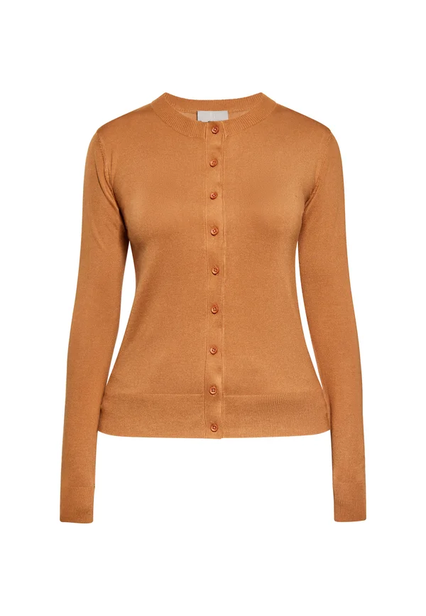 CO-BRANDED WITH RISA - Strickjacke - kamel