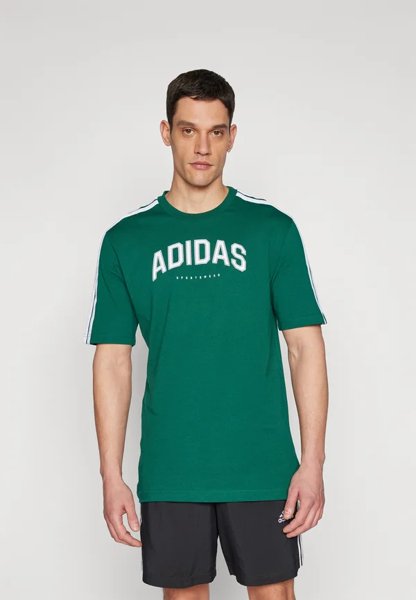 CODES COLLEGIATE LINEAR GRAPHIC - T-Shirt print - collegiate green