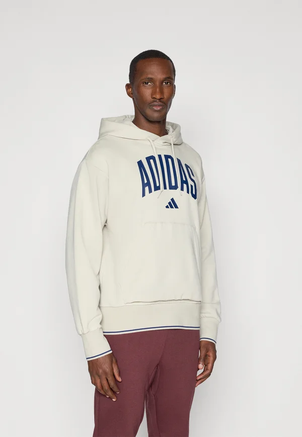 COLLEGIATE - Kapuzenpullover - alumina/dark blue