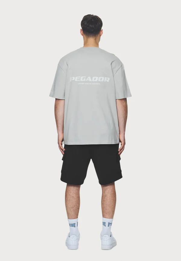 COLNE LOGO OVERSIZED TEE - T-Shirt print - washed pearl grey