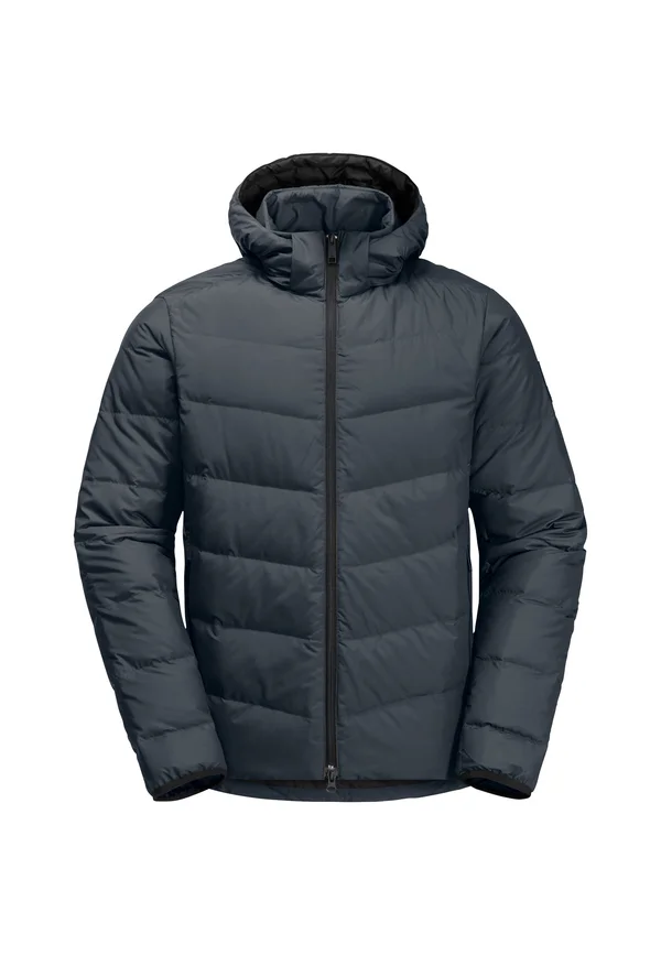COLONIUS - Daunenjacke - dark navy