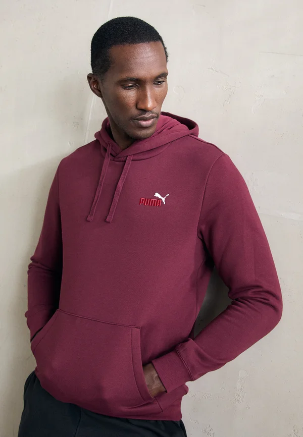 COLOR SMALL LOGO HOODIE  - Kapuzenpullover - ruby shimmer