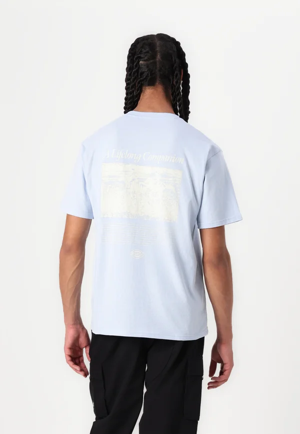COMPANION SCRIPT TEE - T-Shirt print - skyway