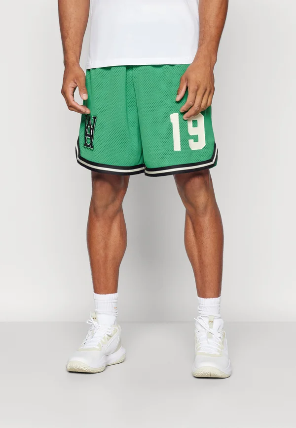 COURTSIDE HOOPS SHORT - Kurze Sporthose - team kelly green/stone/black