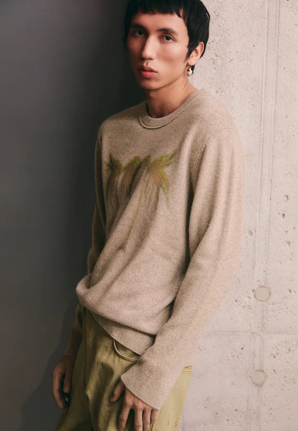 CREW NECK - Strickpullover - brown