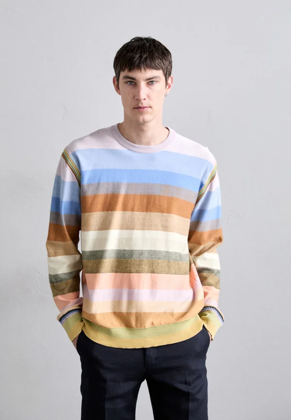 CREW NECK - Strickpullover - multi coloured