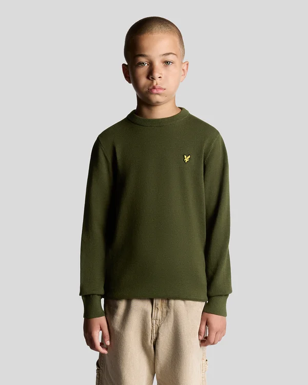 CREW NECK - Strickpullover - olive