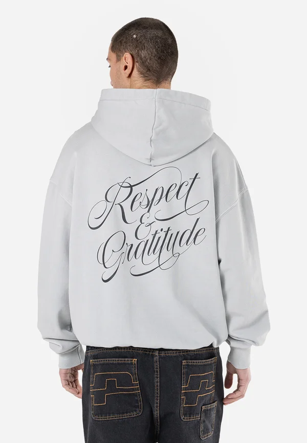 DALZEL HOODIE - Sweatshirt - vintage light grey