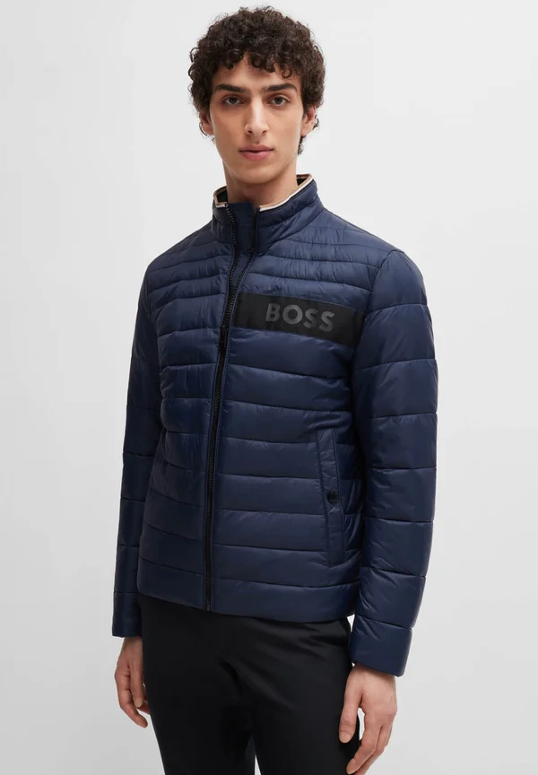 DAROLUS - Winterjacke - dark blue