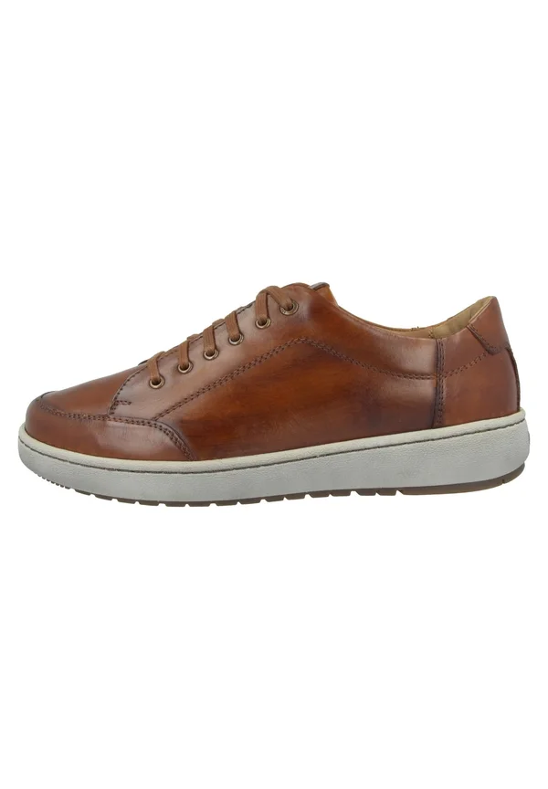 DAVID - Sneaker low - cognac kombi (26403-860-371)