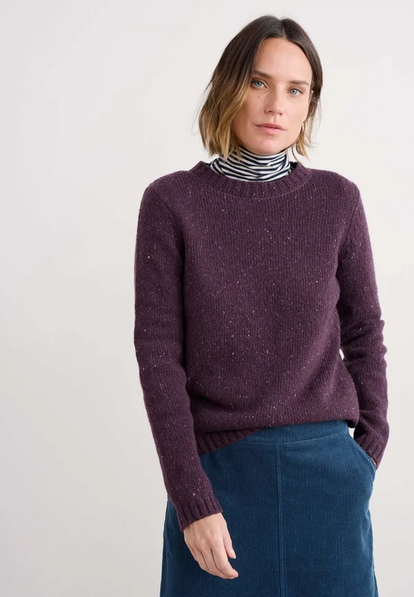 DAWSON PICK - Strickpullover - dark purple grape