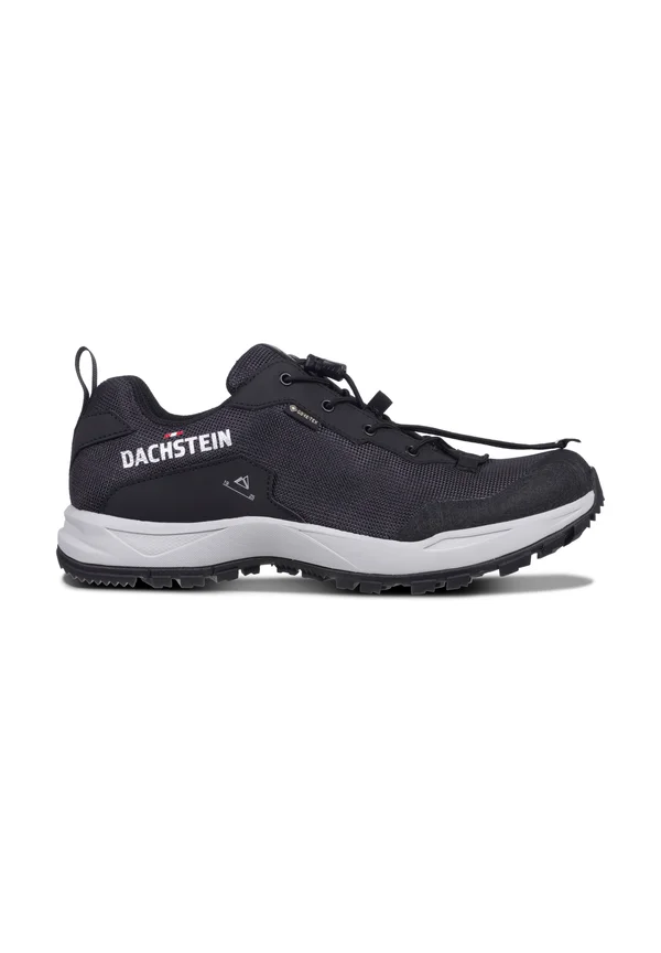 DELTA ASCENT GTX - Hikingschuh - schwarz