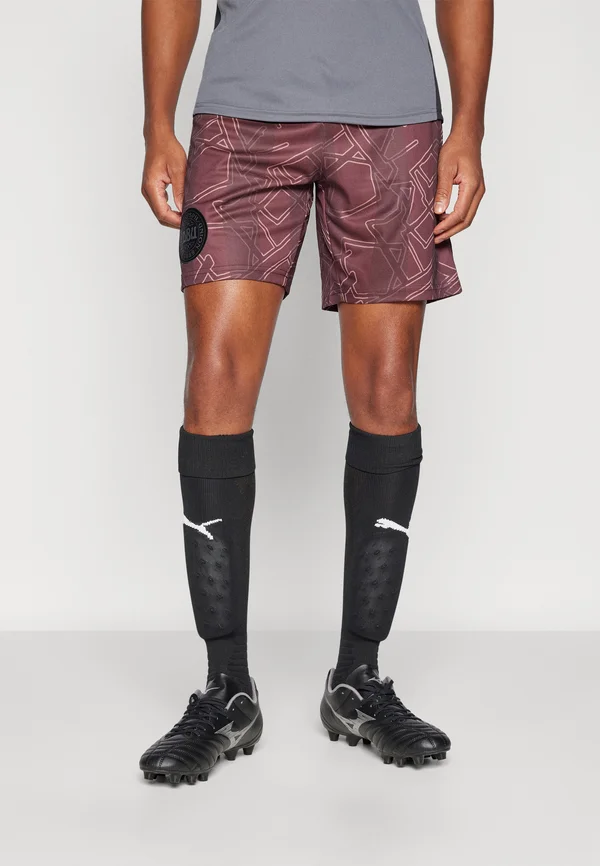 DENMARK DBU HALO SHORTS - Vereinsmannschaften - port royale