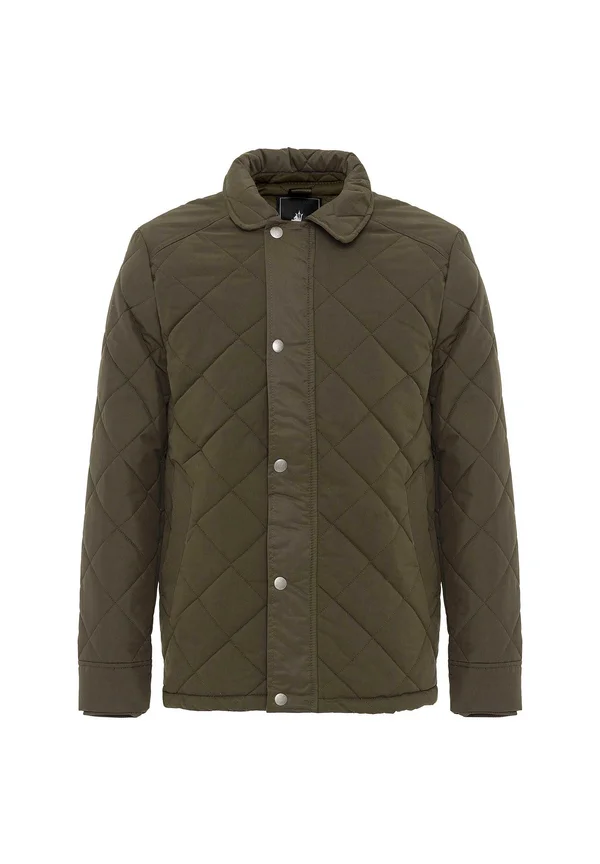 DOMINIK - Winterjacke - khaki