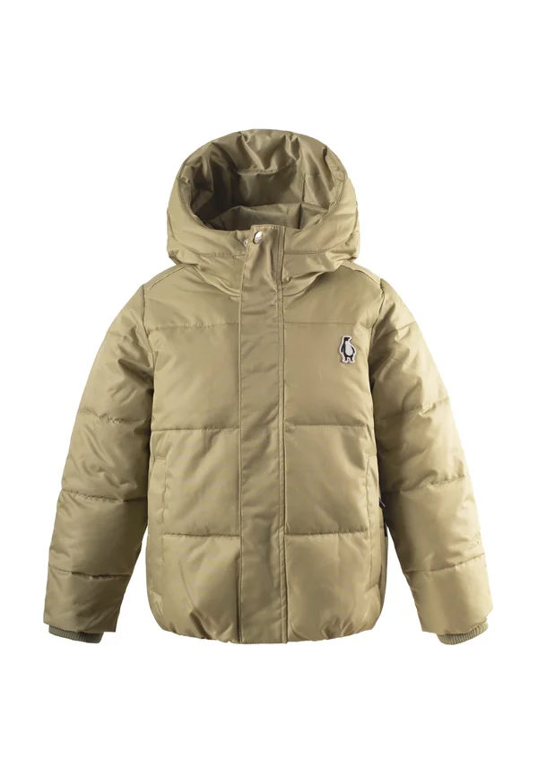 DRAGON EYE - Winterjacke - gray green