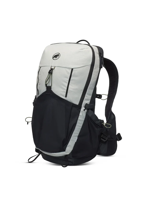 DUCAN 22 - Trekkingrucksack - silver sage/black