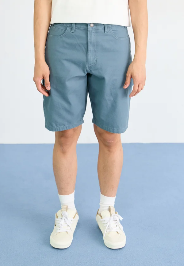 DUCK CARPENTER - Shorts - stormy weather