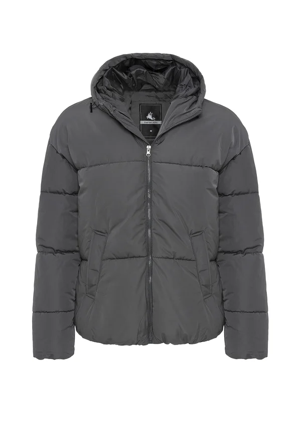 DYLAN - Winterjacke - grey