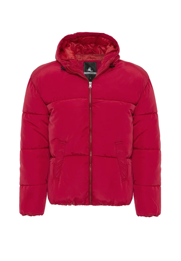 DYLAN - Winterjacke - red