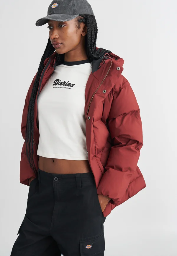 EAGLEVILLE HOODED PUFFER - Winterjacke - andorra