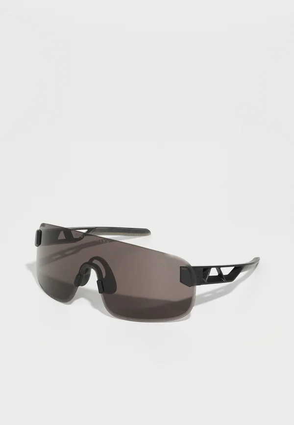 ELICIT UNISEX - Sonnenbrille - uranium black/clarity universal/sunny grey