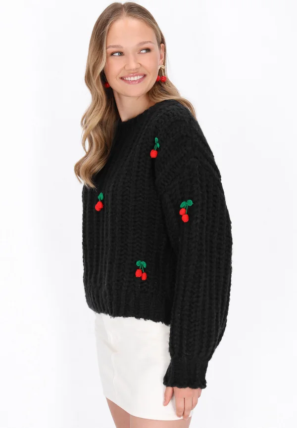 EMBROIDERED CREW NECK  - Strickpullover - black