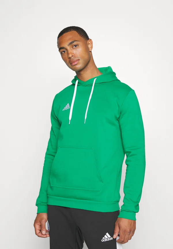 ENTRADA 22 - Kapuzenpullover - team green/white