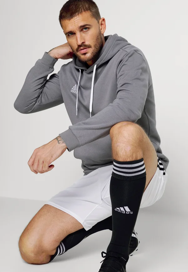ENTRADA 22 - Kapuzenpullover - team grey four