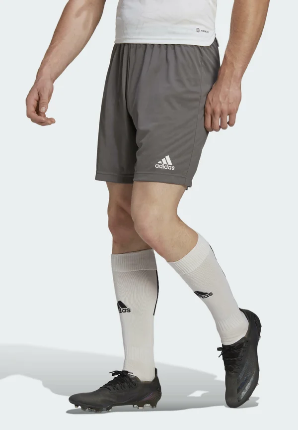 ENTRADA 22 - Kurze Sporthose - grey