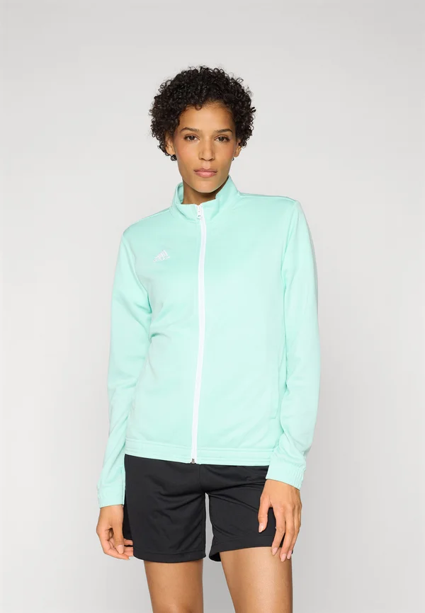 ENTRADA22 TRACK JACKET - Trainingsjacke - clear mint