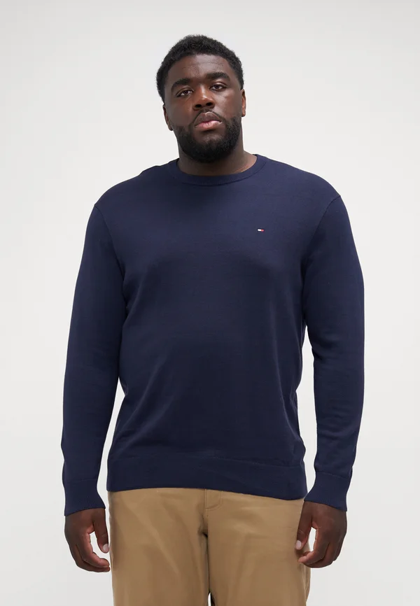 ESSENTIAL CREW NECK - Strickpullover - desert sky