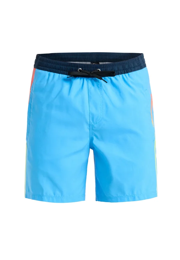EVERYDAY HOLMES  VOLLEY - Badeshorts - bjt2