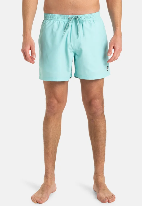 EVERYDAY SOLID 15 - Badeshorts - bgh