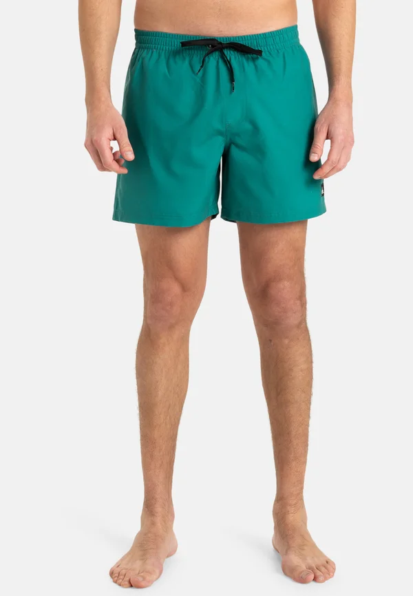 EVERYDAY SOLID 15 - Badeshorts - bsj