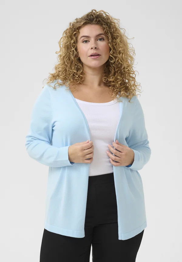 FARSIA - Strickjacke - nantucket breeze